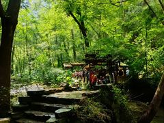 -桂林古东瀑布景区
