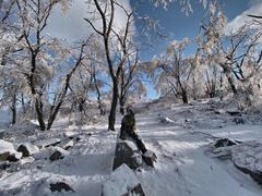 -中旅松花湖滑雪场