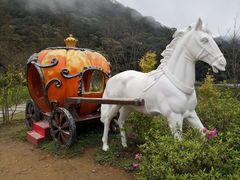 -广州市石门国家森林公园