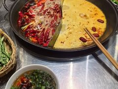-朱光玉火锅馆(正弘城店)