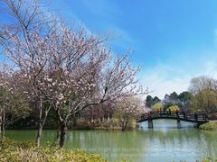 -苏州太湖国家湿地公园