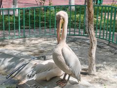 -水上乐园·欢乐世界