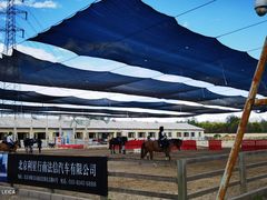 -北京群众马术培训基地