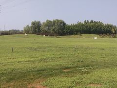 -瀛海足球主题公园