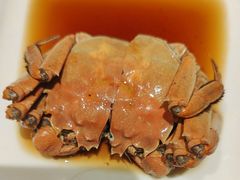 -苏面斋·本地传统苏式面馆