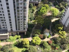 -新湖明珠城