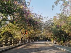 -水濂山森林公园