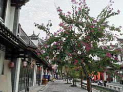 -靖西锦绣古镇景区