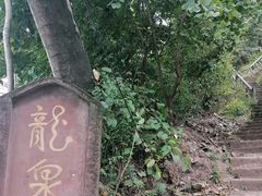 -龙泉洞(沙坪坝区)