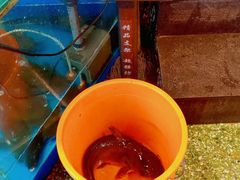 -粗粮人家·东北菜(洋桥店)