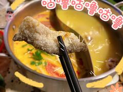 -禄婶鸡煲·打边炉