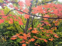 -本溪关山湖风景区