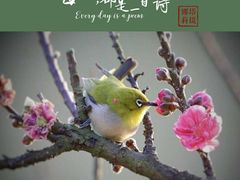 -南国桃园旅游度假区