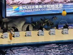 -泉城欧乐堡海洋极地世界
