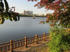 -长白岛森林公园