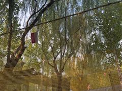 -回龙观体育文化公园