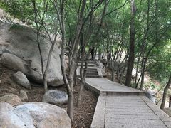 -崂山巨峰游览区