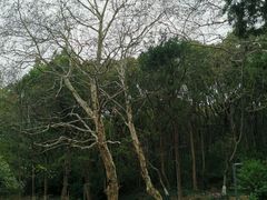 -赭山公园