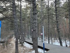 -帽儿山国家森林公园