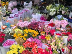 -三圣花乡旅游区