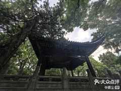 -汇龙潭