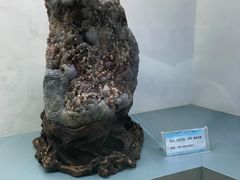 景点-甘肃地质博物馆