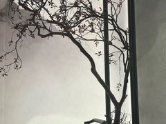 -绿茶餐厅(茂业天地店)