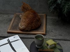 -知亘茶食
