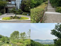 -羊山湖公园