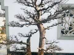 -杭州植物园