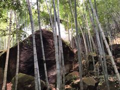 -磐安舞龙峡景区