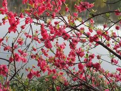 -重庆彩云湖湿地公园