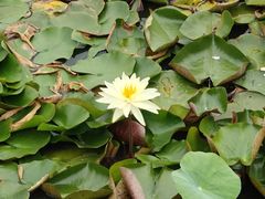 -天津东丽湖风景区