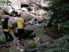 -呀诺达热带雨林