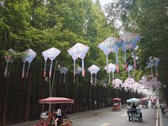 -日照海滨国家森林公园