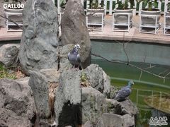 -青岛德国总督楼旧址博物馆