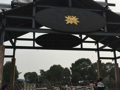 -荷塘月色湿地公园·向阳花洲