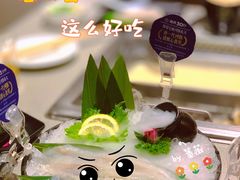河豚鱼片-海底捞火锅(河东万达广场店)