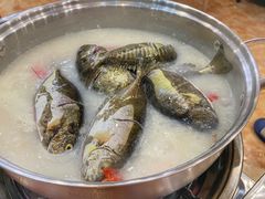 -龚记海鲜20年老字号