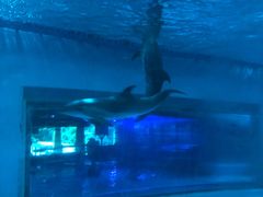 -波塞冬旅游度假区