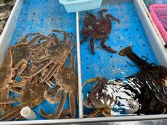 -南沙十九涌渔人码头-南门