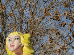 -朝阳公园游乐园