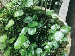 -华冠悠岚·庭院餐厅(青城后山店)