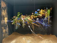-上海鲜花港