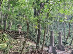 -紫金山山顶公园
