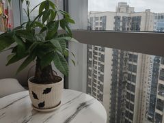 -康利眼镜·蔡司战略合作店(龙泉书房店)