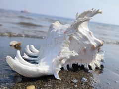 -天津东疆湾沙滩景区