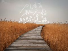 -野鸭湖国家湿地公园