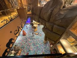 -卡通尼·Safari非洲探索乐园·生日会(金桥国际商业广场店)