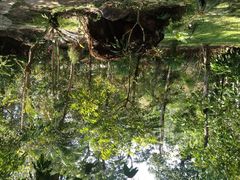 -莫里热带雨林景区